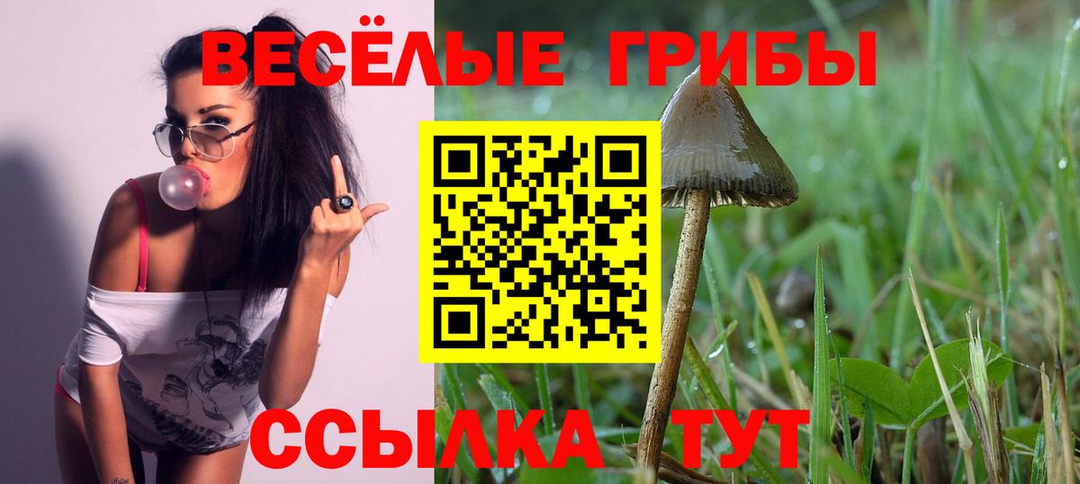магазин продажи   Галлюциногенные грибы Cubensis  Вход с VPN  Дедовск  Псилоцибиновые грибы GOLDEN TEACHER 